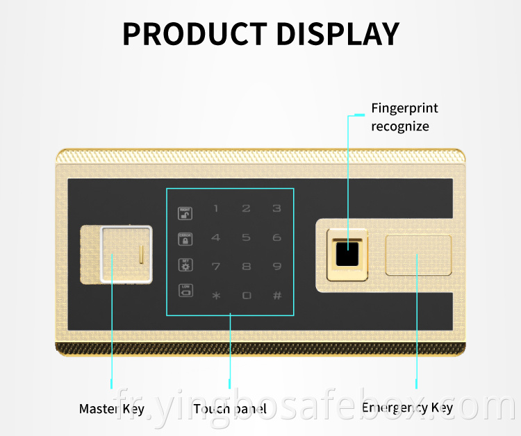 modern fingerprint safes